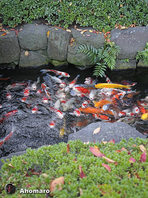 写真00