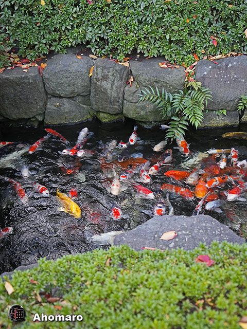 写真00