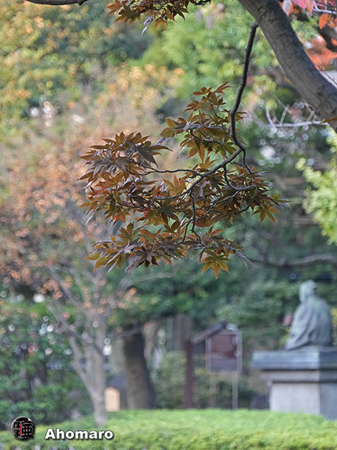 写真00