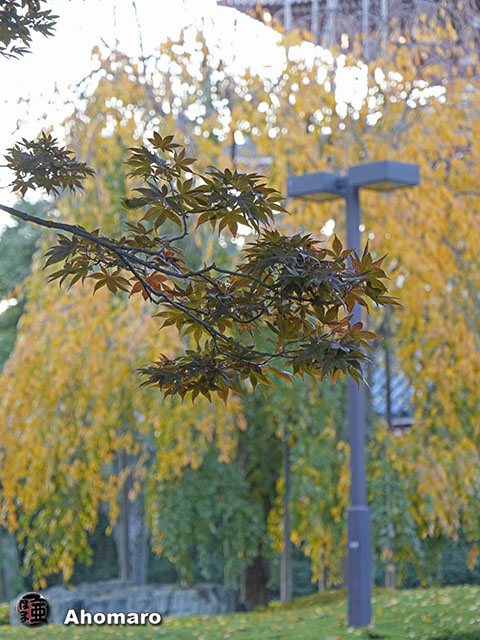 写真00