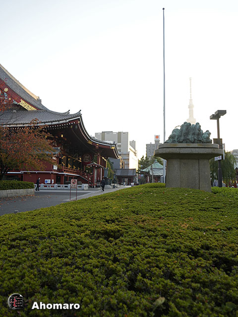 写真00