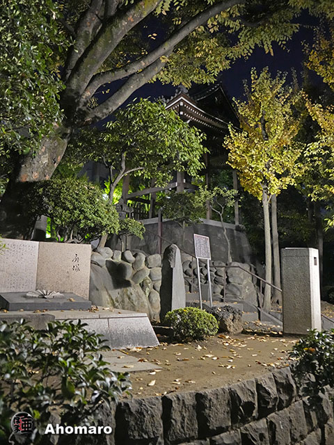 写真00