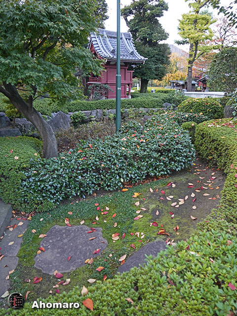 写真00