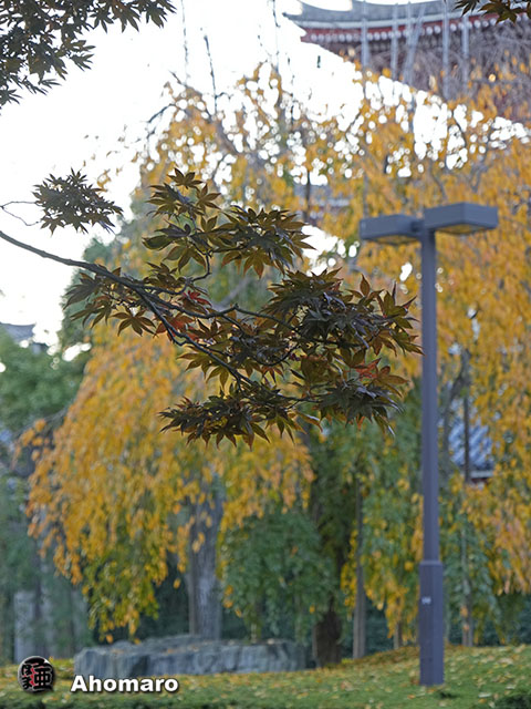 写真00