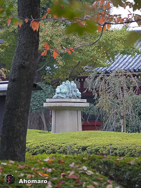 写真00