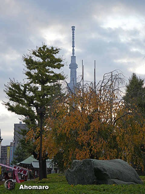 写真00