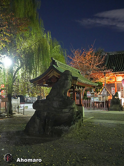 写真00