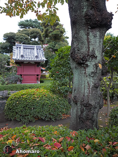 写真00