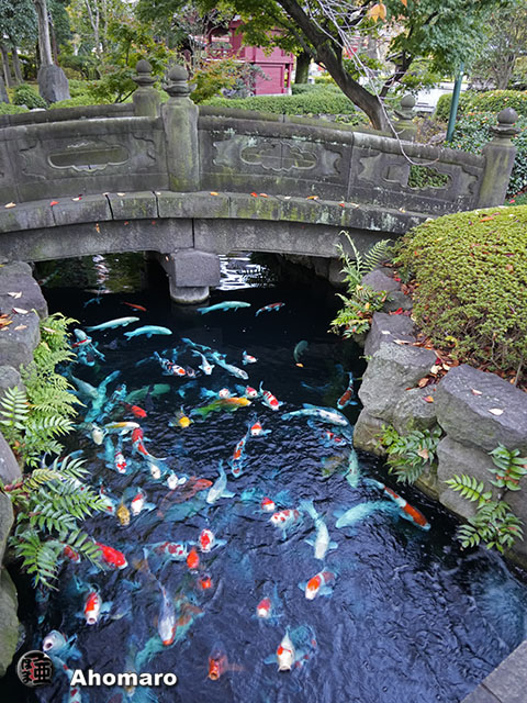 写真00