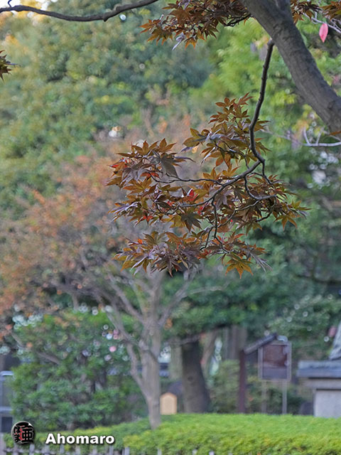 写真00