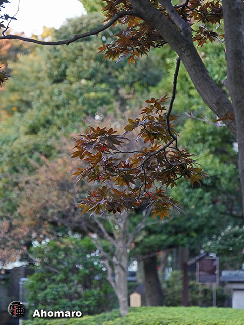 写真00