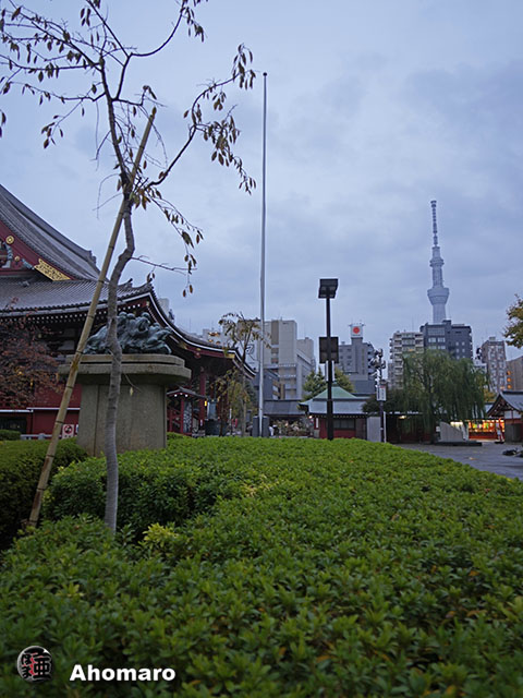 写真00