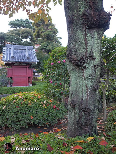 写真00