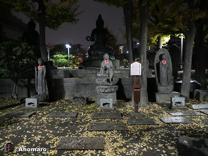 写真00