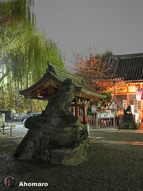 写真00