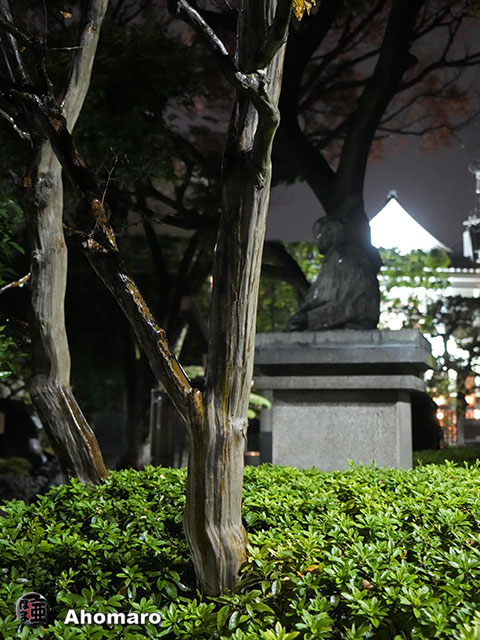 写真00