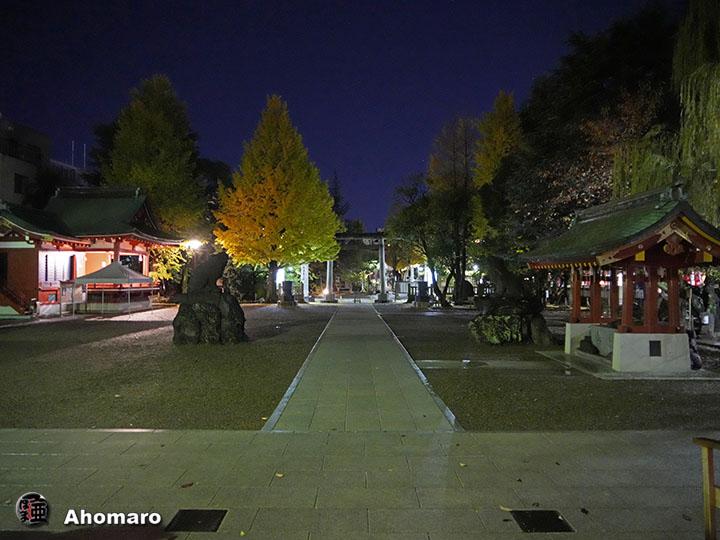 写真00