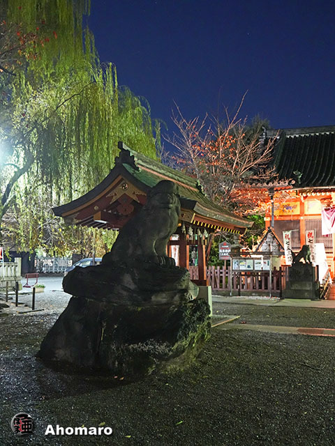 写真00