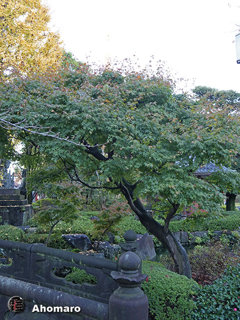 写真00