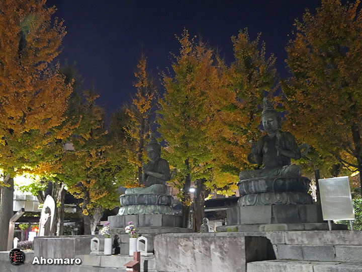 写真00