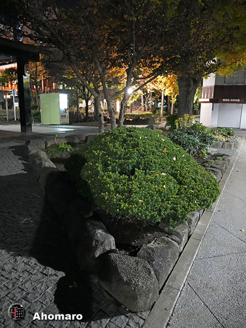 写真00