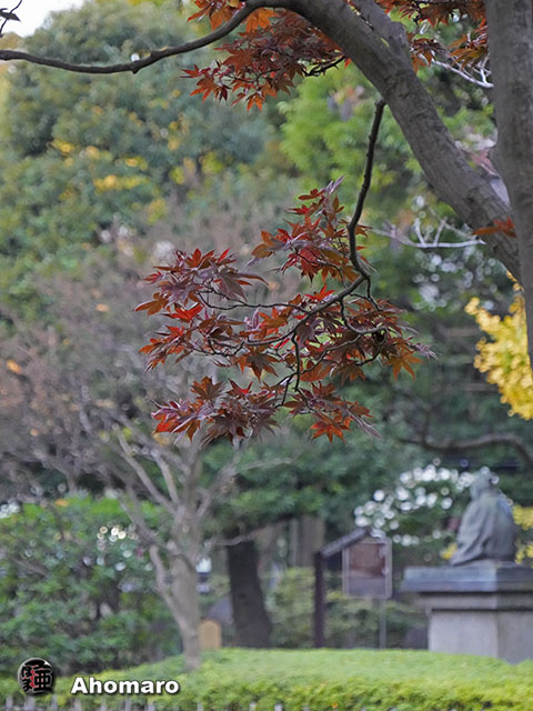 写真00