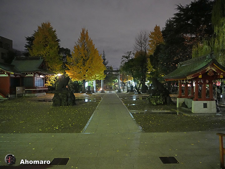 写真00