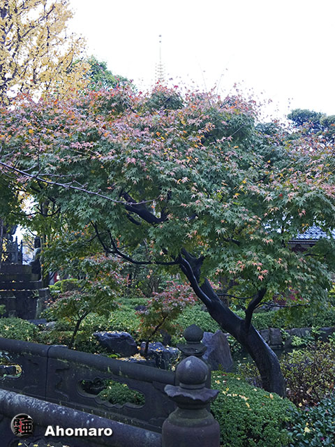 写真00
