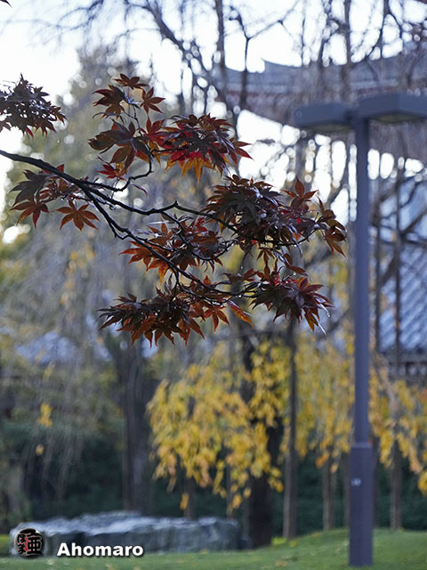 写真00