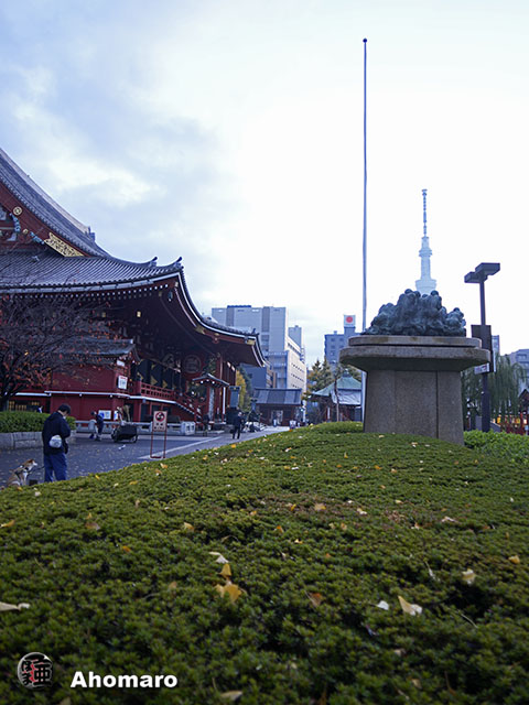 写真00