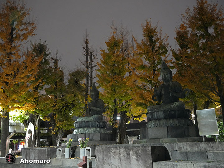写真00