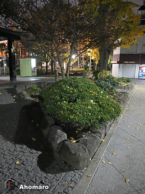 写真00