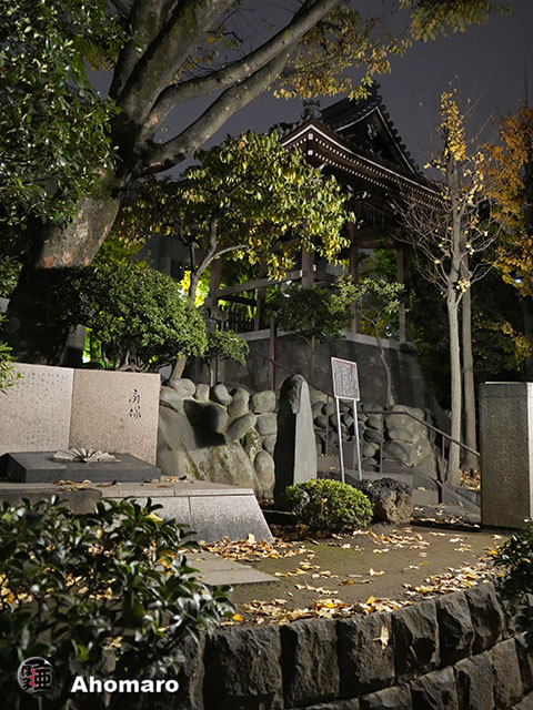 写真00