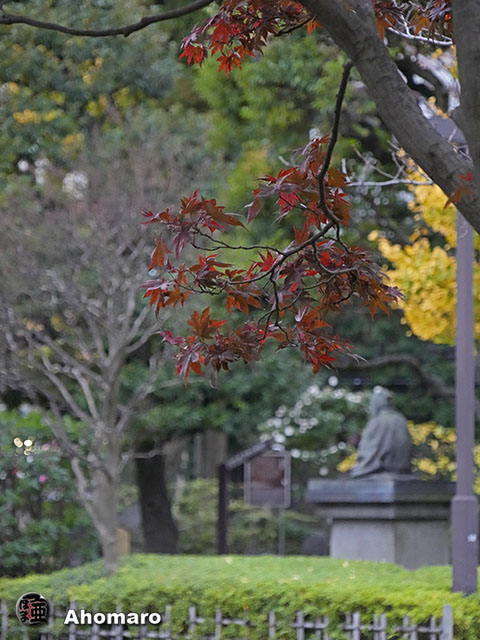 写真00