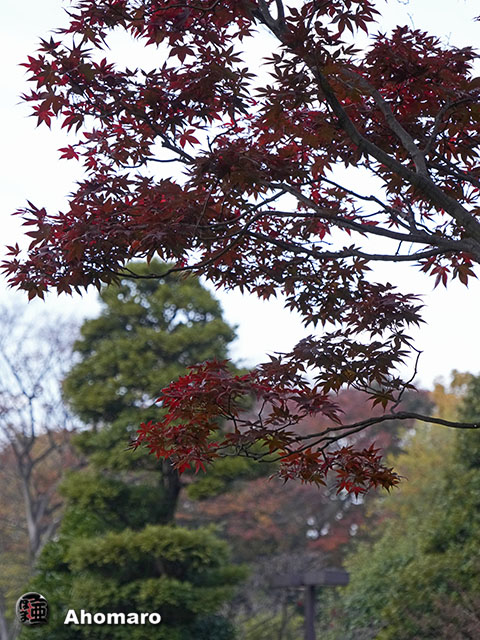 写真00