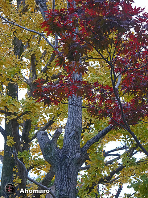 写真00