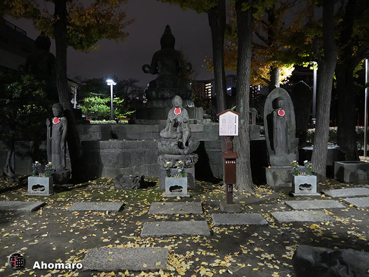 写真00