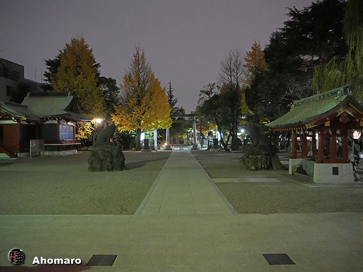写真00