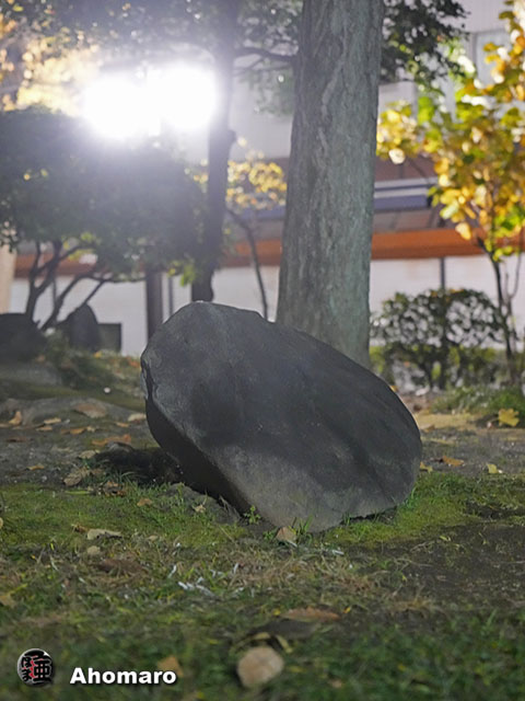 写真00