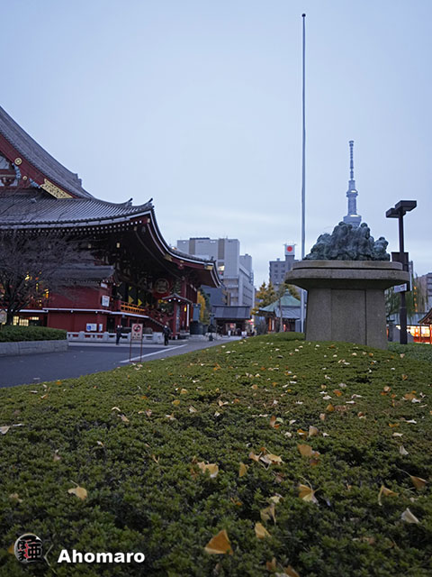 写真00
