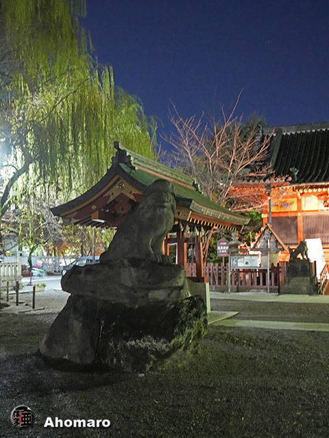 写真00