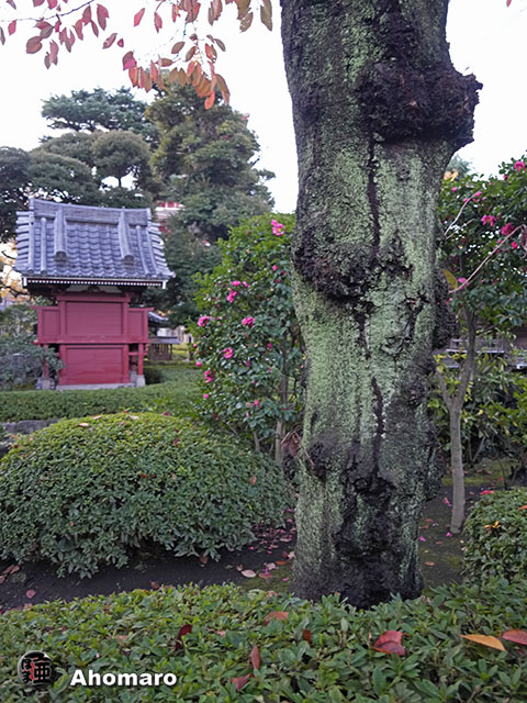 写真00