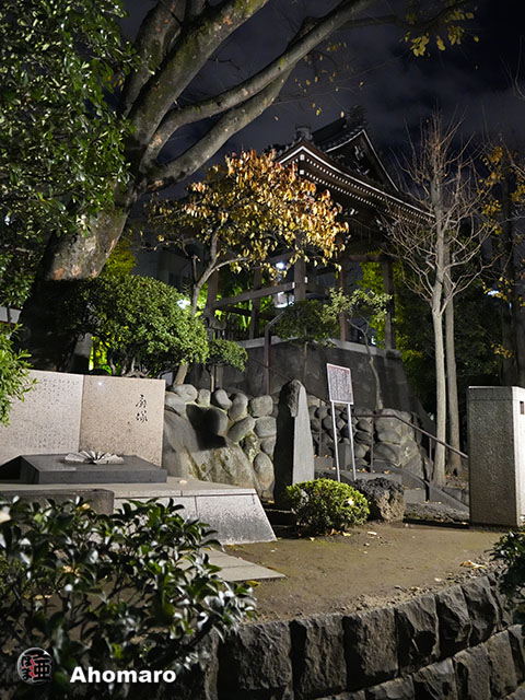 写真00