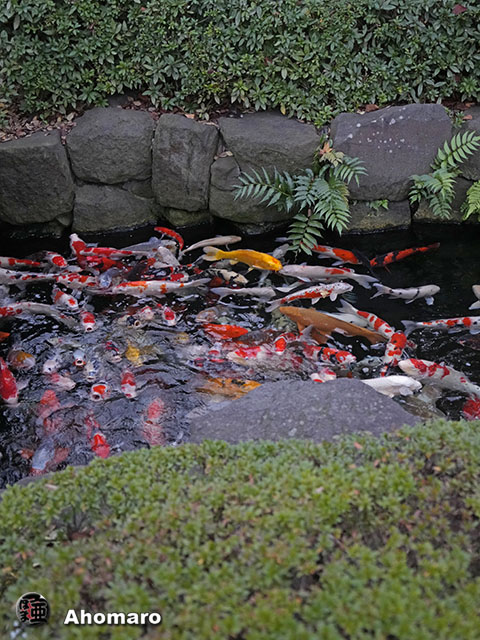 写真00
