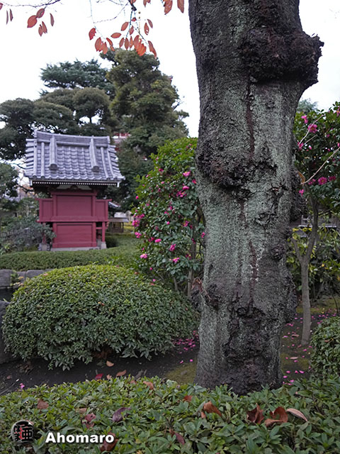 写真00