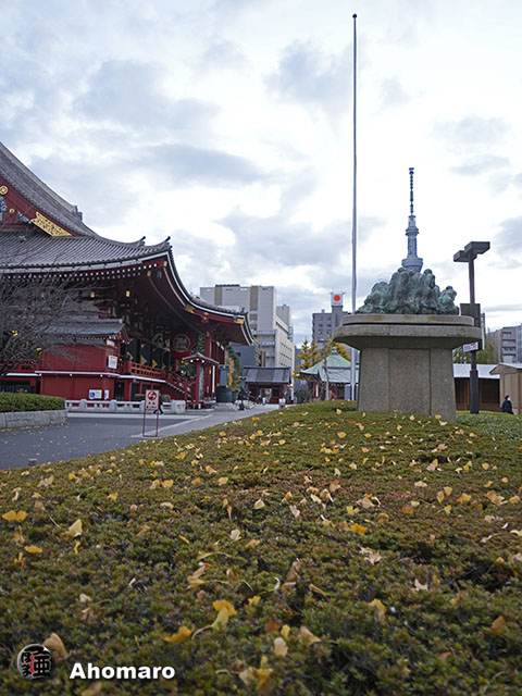 写真00