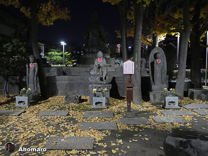 写真00