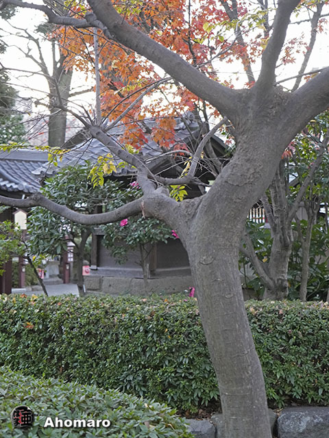 写真00