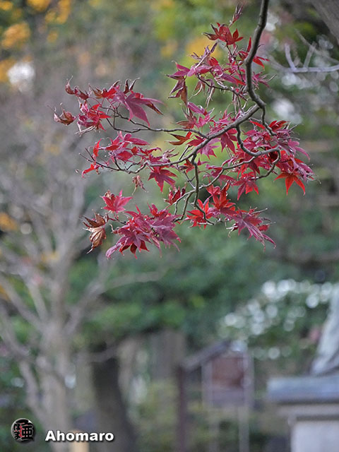 写真00