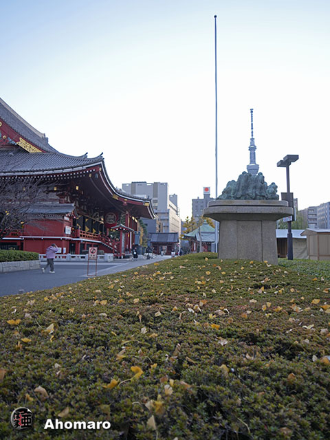 写真00